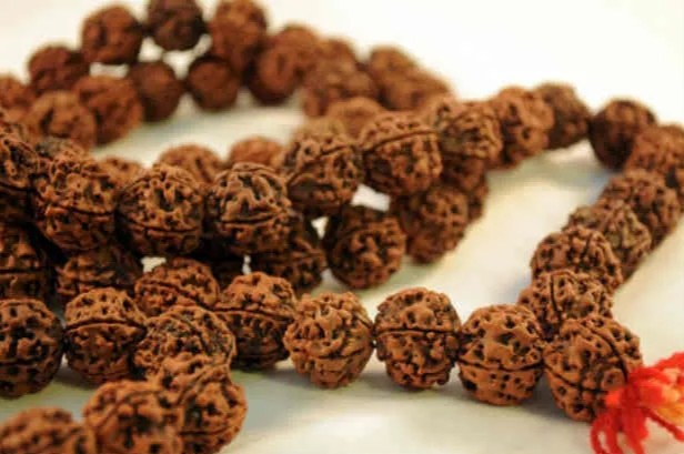 Rudraksha Beads